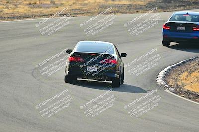 media/Feb-01-2025-Turn8 Trackdays (Sat) [[5681b0f63a]]/Inter 2/Session 1 (Turns 4b and 5)/